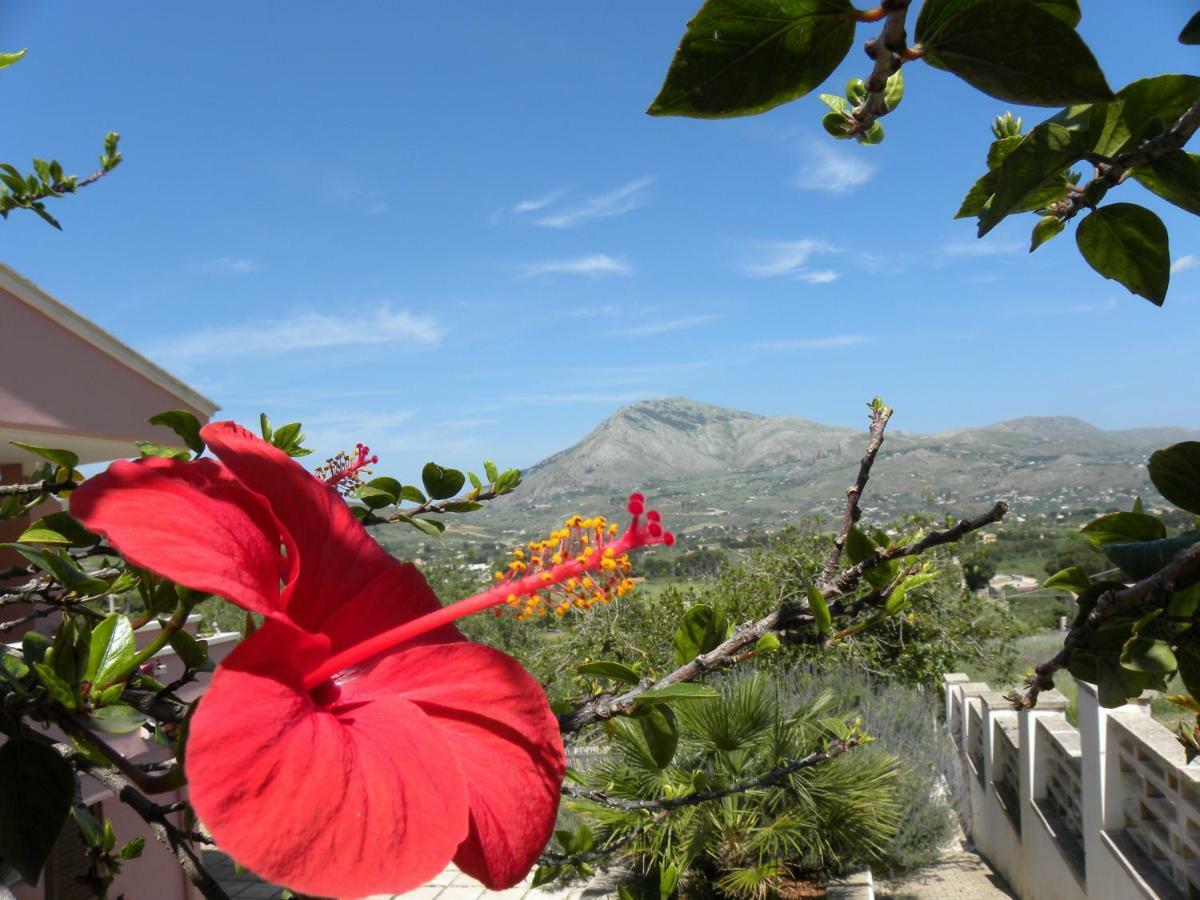 Bed and Breakfast Ibiscus à Castellammare del Golfo Extérieur photo